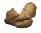 Имбирь, Ginger