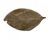 Лавровый лист, Bay leaf
