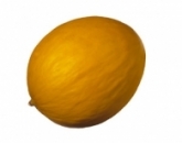 Дыня, Melon