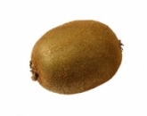 Киви, Kiwi