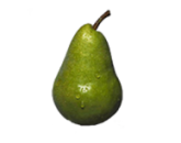 Груша,Pear