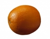 Апельсин,Orange