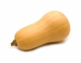 Кабачок,squash