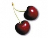 Черешня,cherry