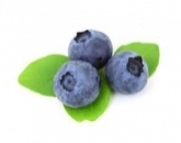 Черника, blueberries