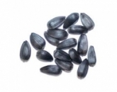 Семечки подсолнечника,sunflower seeds