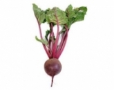 Свекла, свёкла, Beetroot