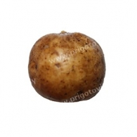 Картофель, картошка