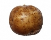 Картофель, картошка